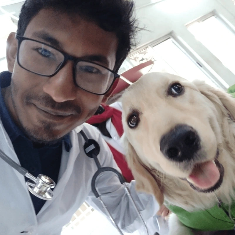 files/016_furlife_doc_1-ezgif.com-png-to-webp-converter.webp