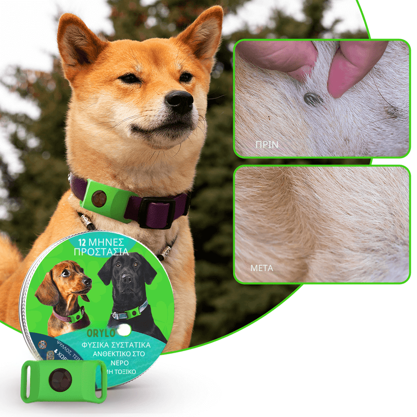 Anti Tick & Flea Collar
