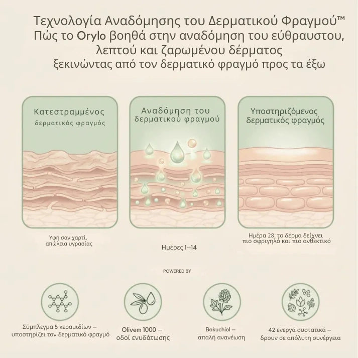 Skin Repair Cream V2