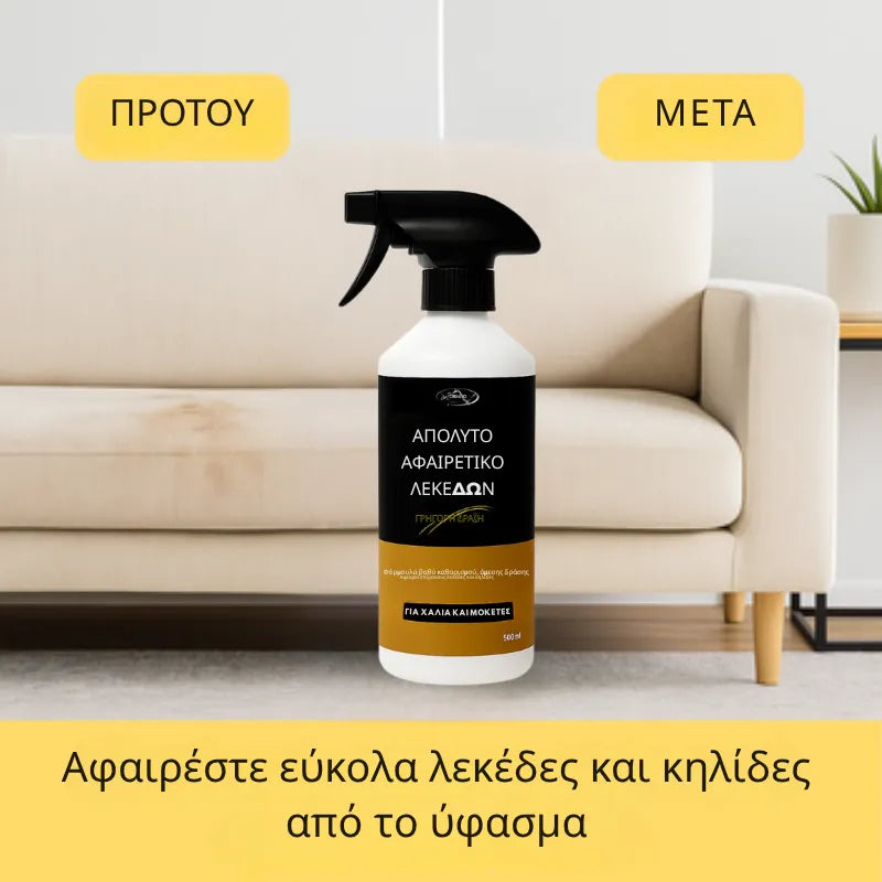 Rug & Carpet Stain Remover