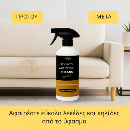Rug & Carpet Stain Remover