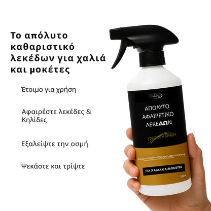 Rug & Carpet Stain Remover