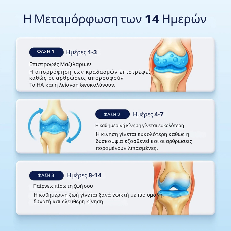 Hyaluronic Acid Joint Supplement