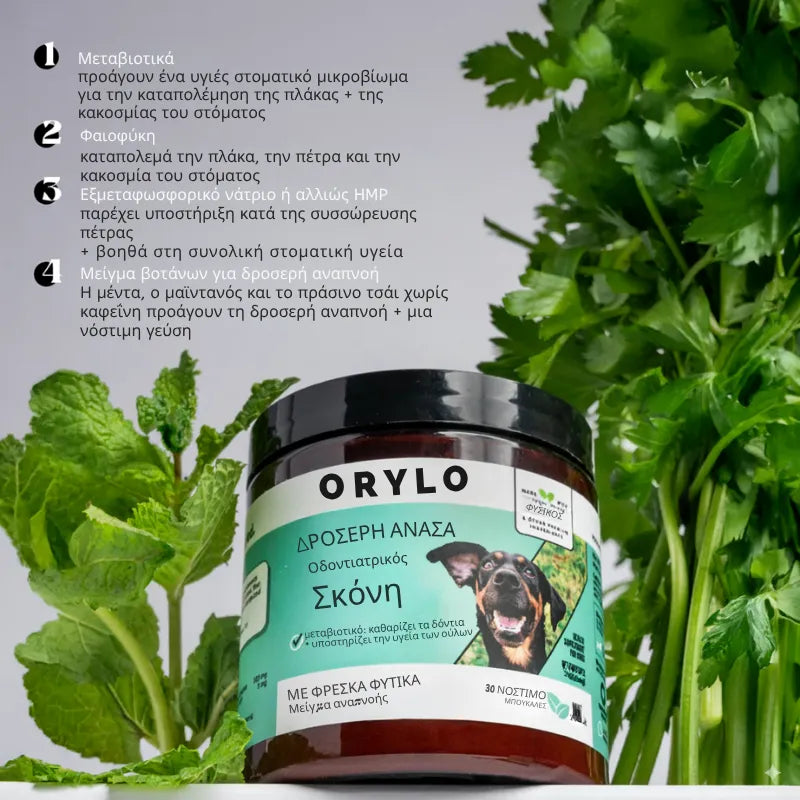 Dog Dental Powder