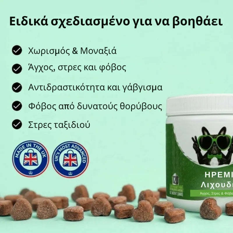Calming Treats for Dogs