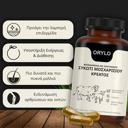 Beef Liver Capsule