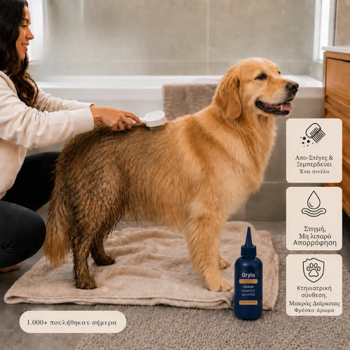 Pet Comb Mist Set