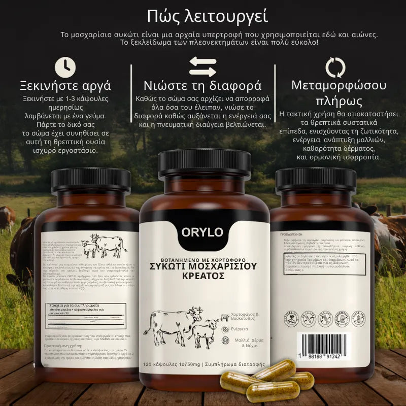Beef Liver Capsule