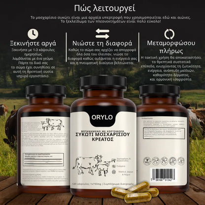Beef Liver Capsule