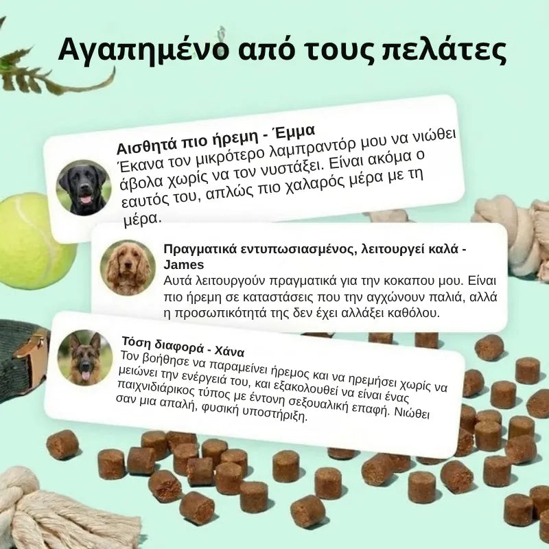 Calming Treats for Dogs