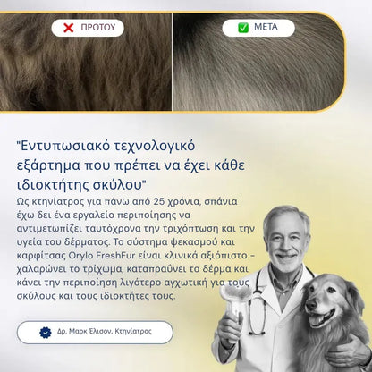 Pet Comb Mist Set