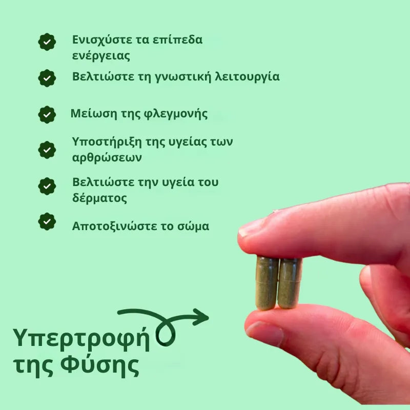 Moringa Capsules (B1T1)