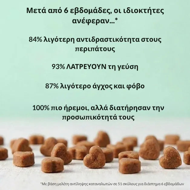 Calming Treats for Dogs