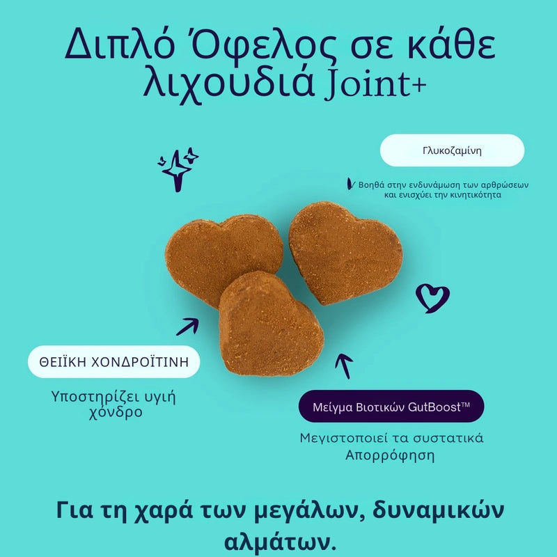 Joint + GutBoost Dog Treats