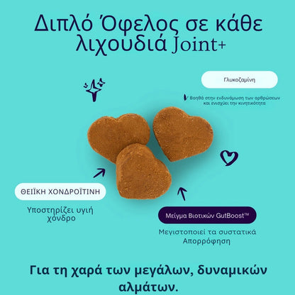 Joint + GutBoost Dog Treats