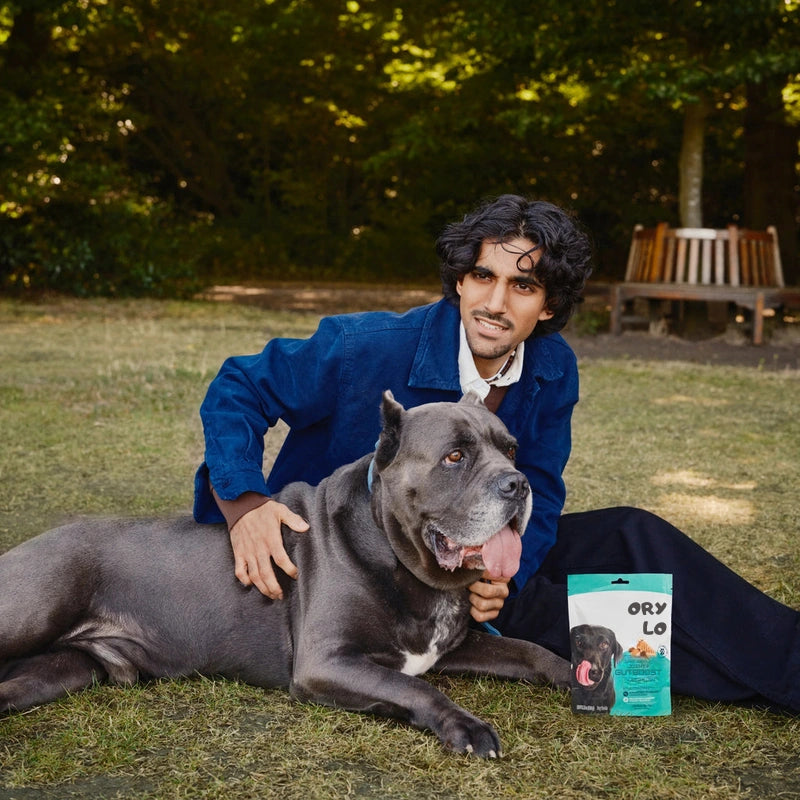 Joint + GutBoost Dog Treats