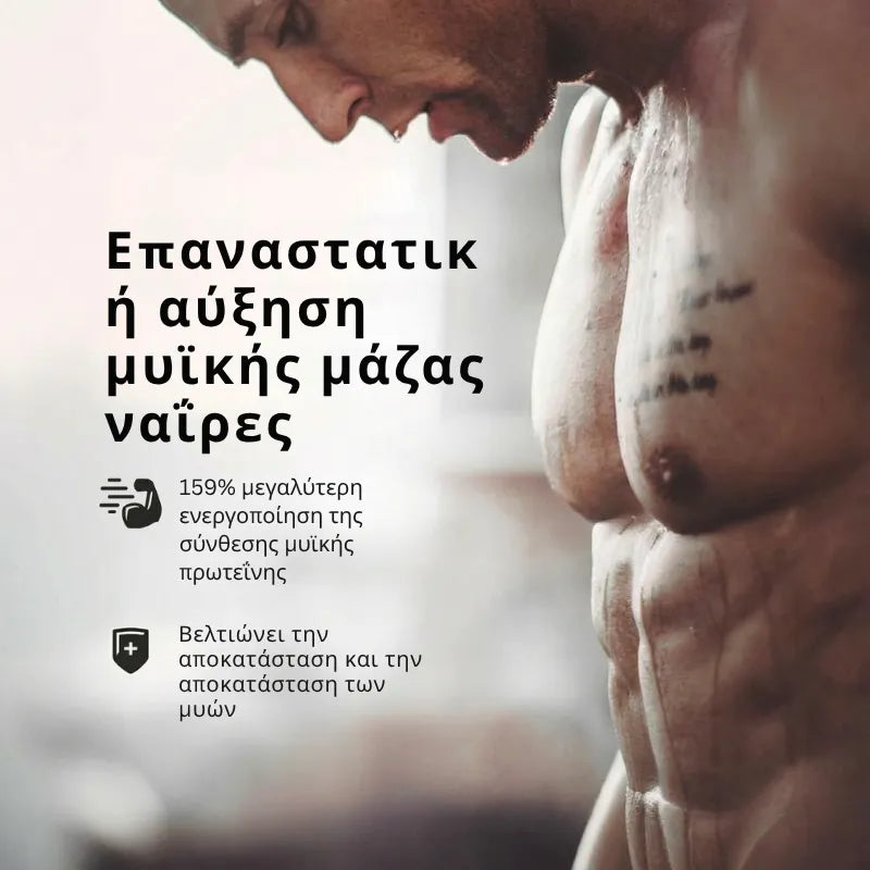 Muscle Supplement