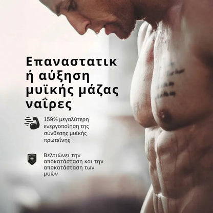Muscle Supplement