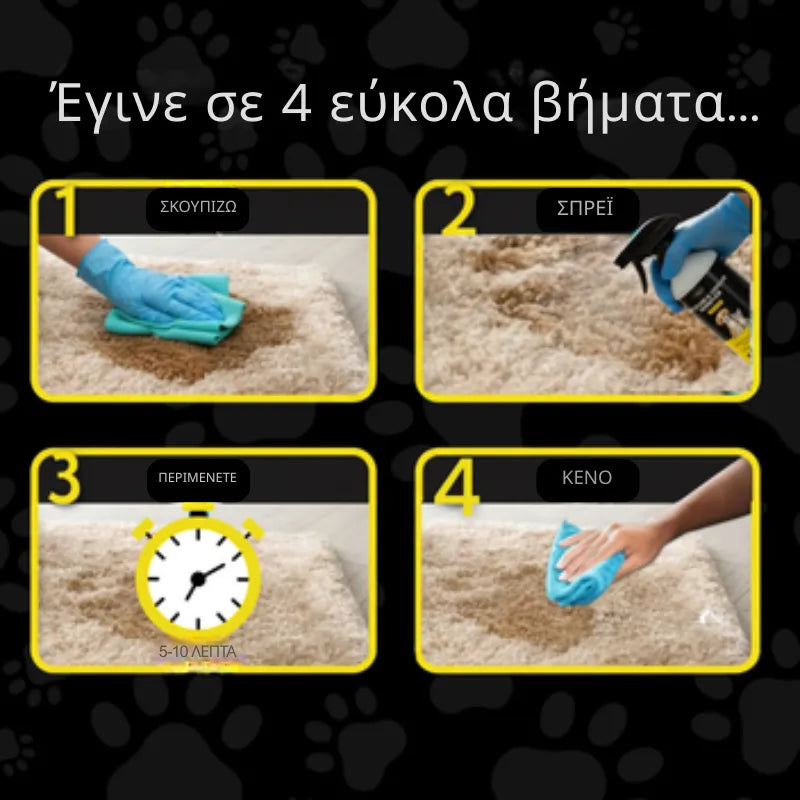 Rug & Carpet Stain Remover
